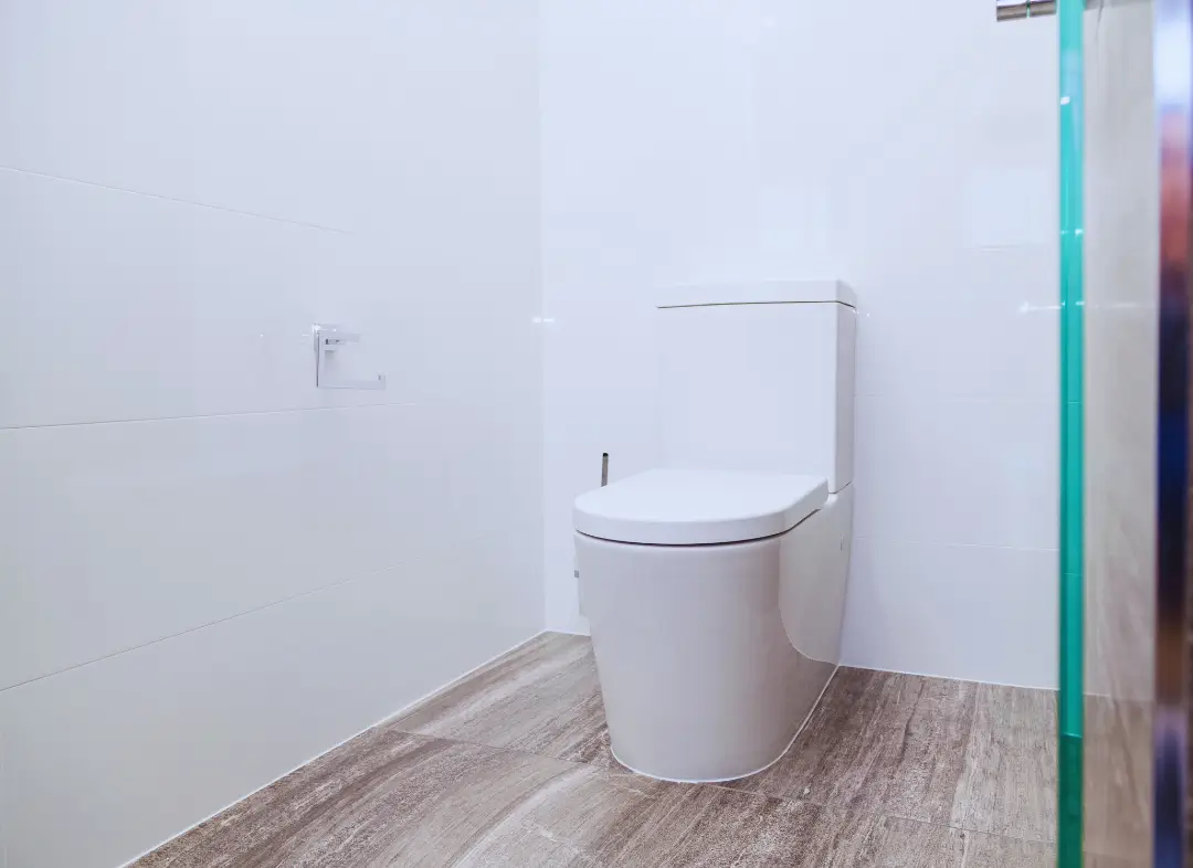 Remplacement de wc Audun-le-Tiche