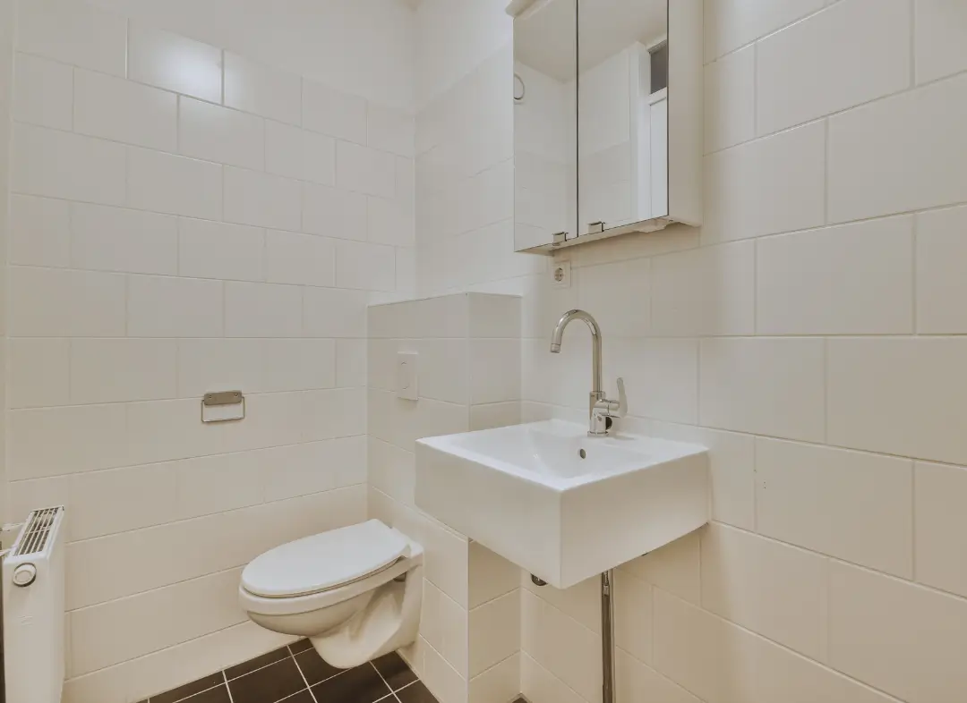 Pose WC Suspendu Audun-le-Tiche